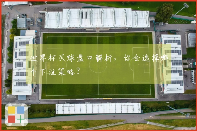 世界杯买球盘口解析，你会选择哪个下注策略？