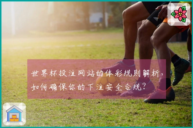 世界杯投注网站的体彩规则解析，如何确保你的下注安全合规？