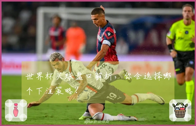 世界杯买球盘口解析，你会选择哪个下注策略？