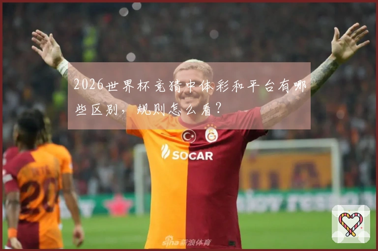2026世界杯竞猜中体彩和平台有哪些区别，规则怎么看？