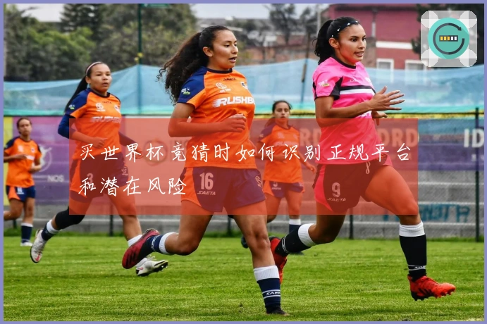 买世界杯竞猜时如何识别正规平台和潜在风险