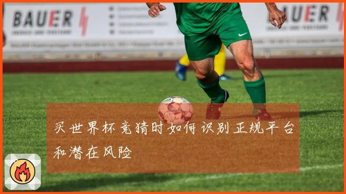 买世界杯竞猜时如何识别正规平台和潜在风险