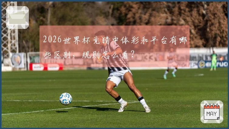 2026世界杯竞猜中体彩和平台有哪些区别，规则怎么看？