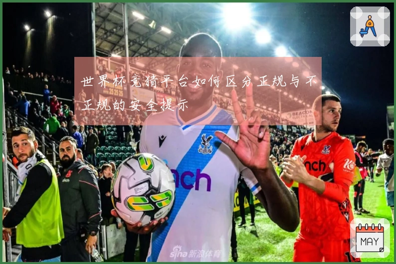 世界杯竞猜平台如何区分正规与不正规的安全提示