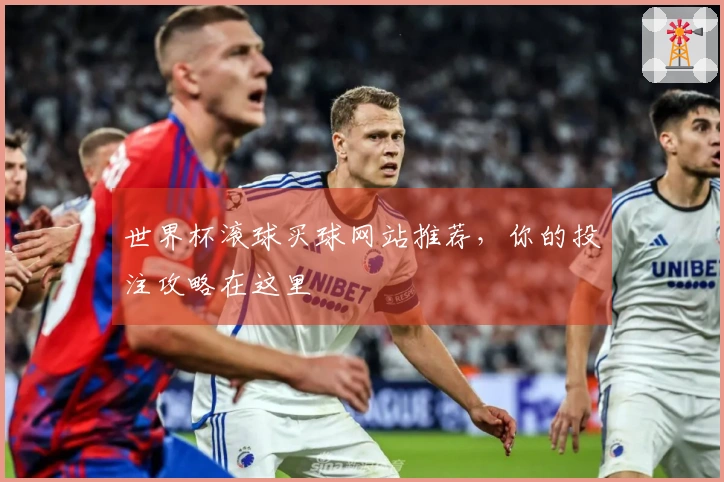 世界杯滚球买球网站推荐，你的投注攻略在这里